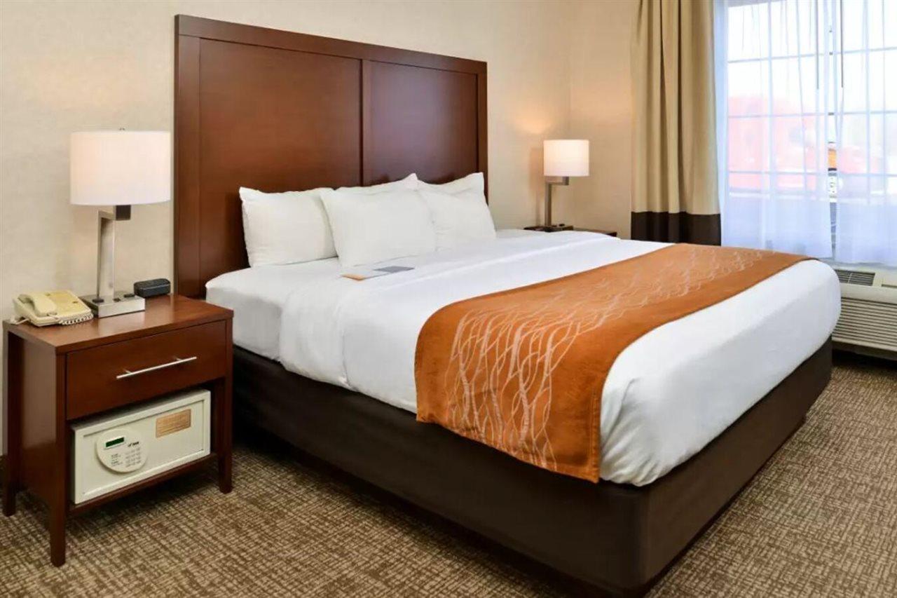 Comfort Inn & Suites Madison North Deforest Kültér fotó
