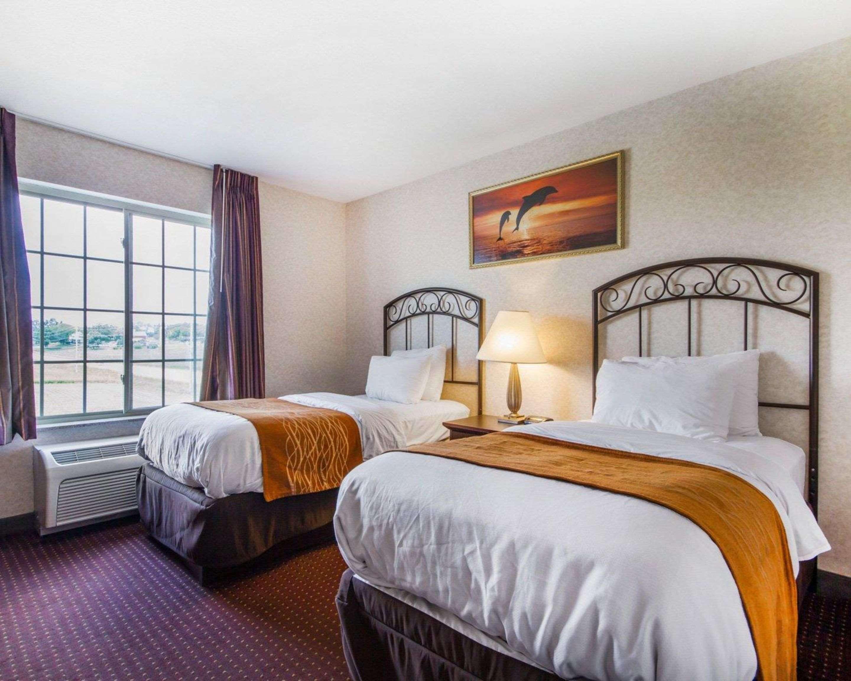 Comfort Inn & Suites Madison North Deforest Kültér fotó
