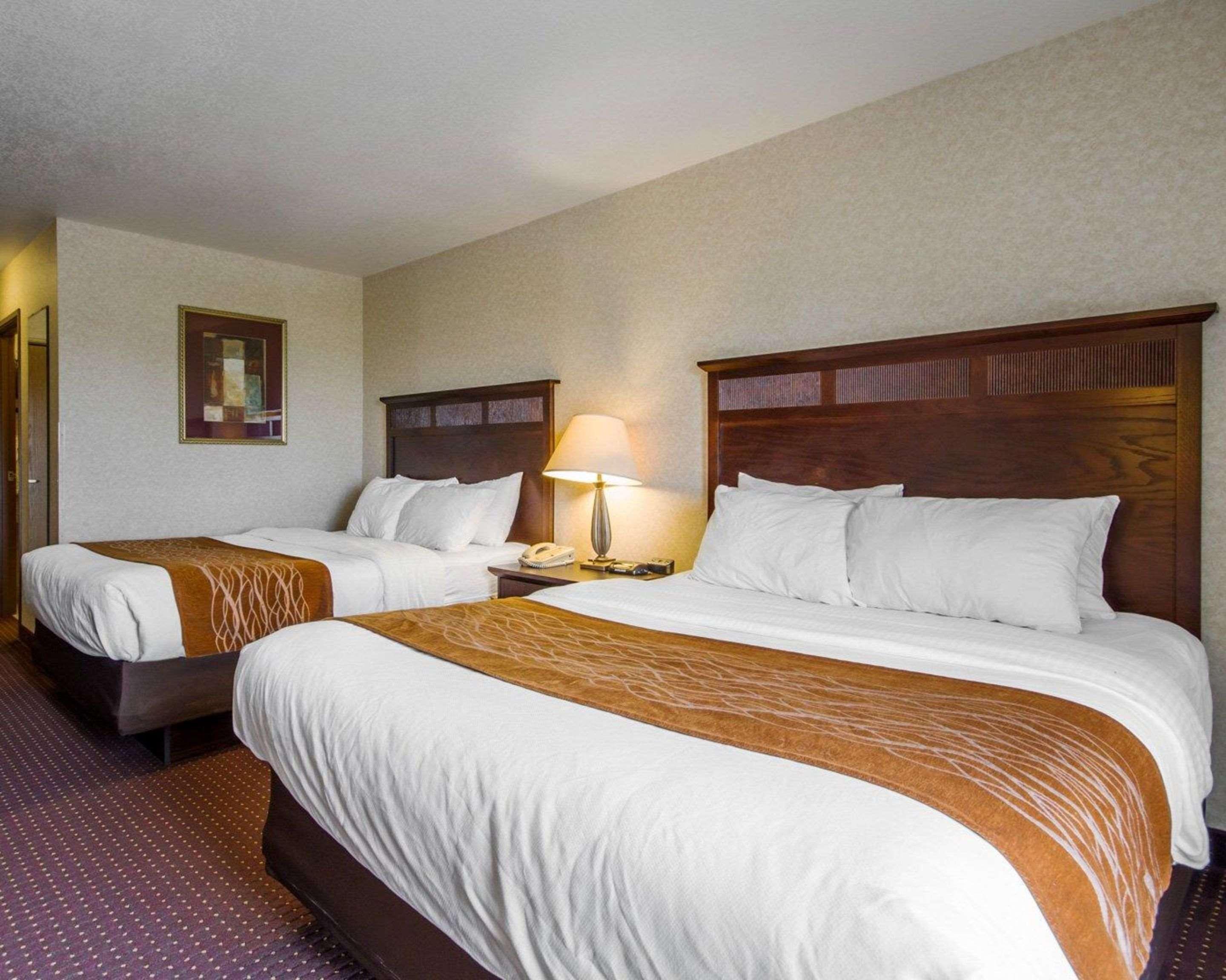 Comfort Inn & Suites Madison North Deforest Kültér fotó